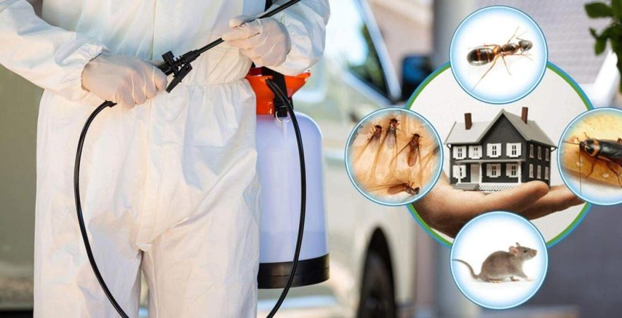 Sumbas Böcek İlaçlama