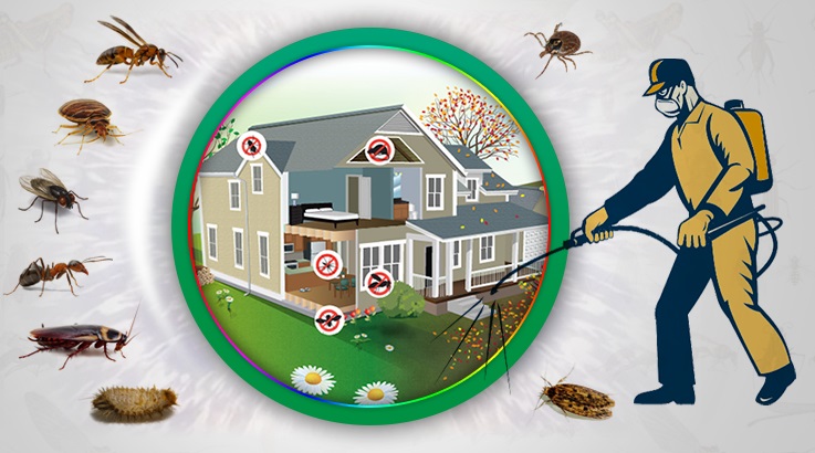 Sumbas Böcek İlaçlama