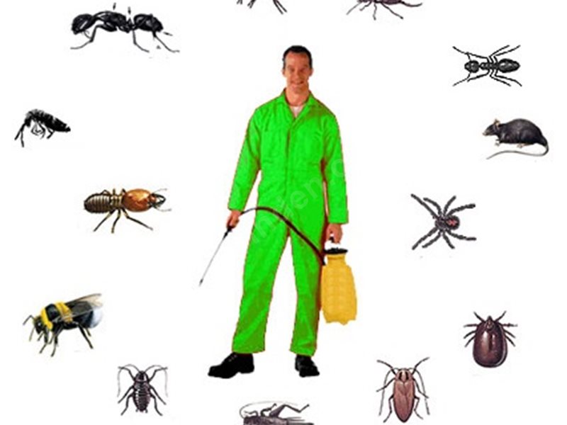 Sumbas Böcek İlaçlama